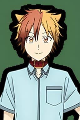Tamao Akisame